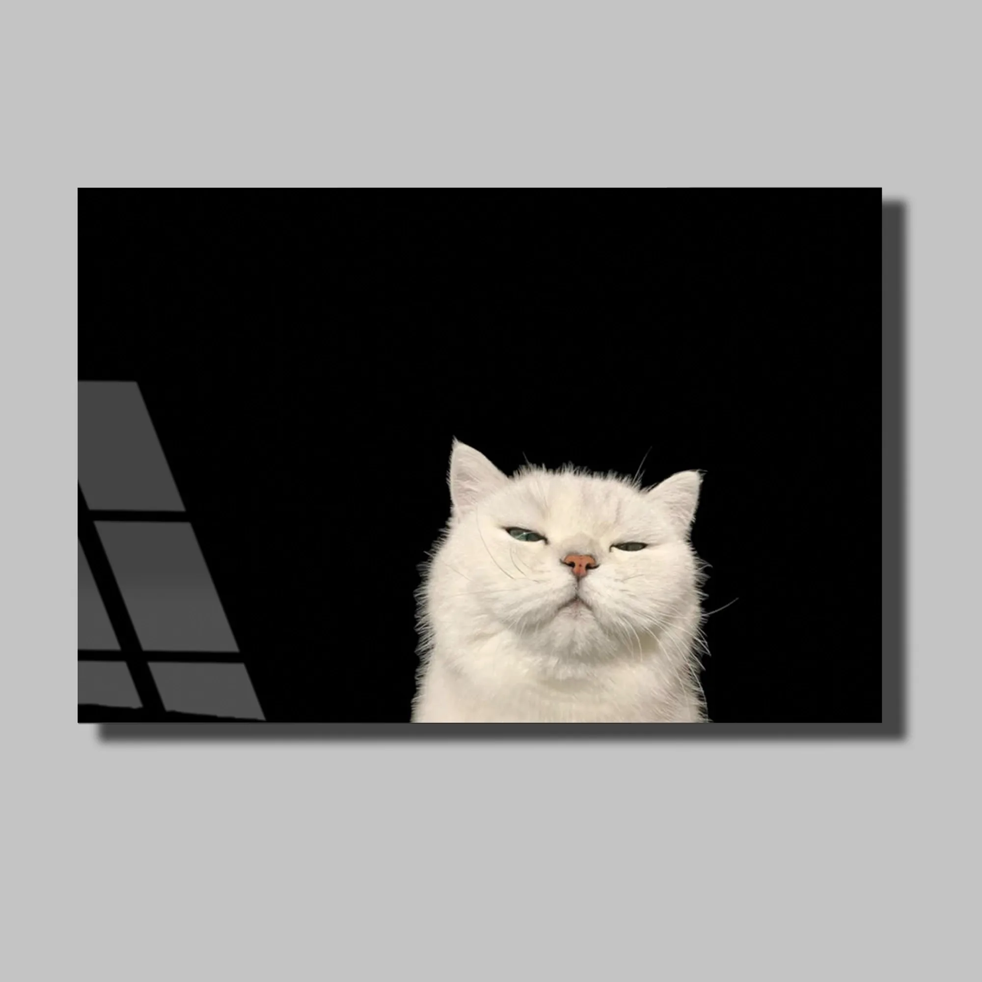 Siyah Zeminde Huysuz Beyaz Kedi Cam Tablo