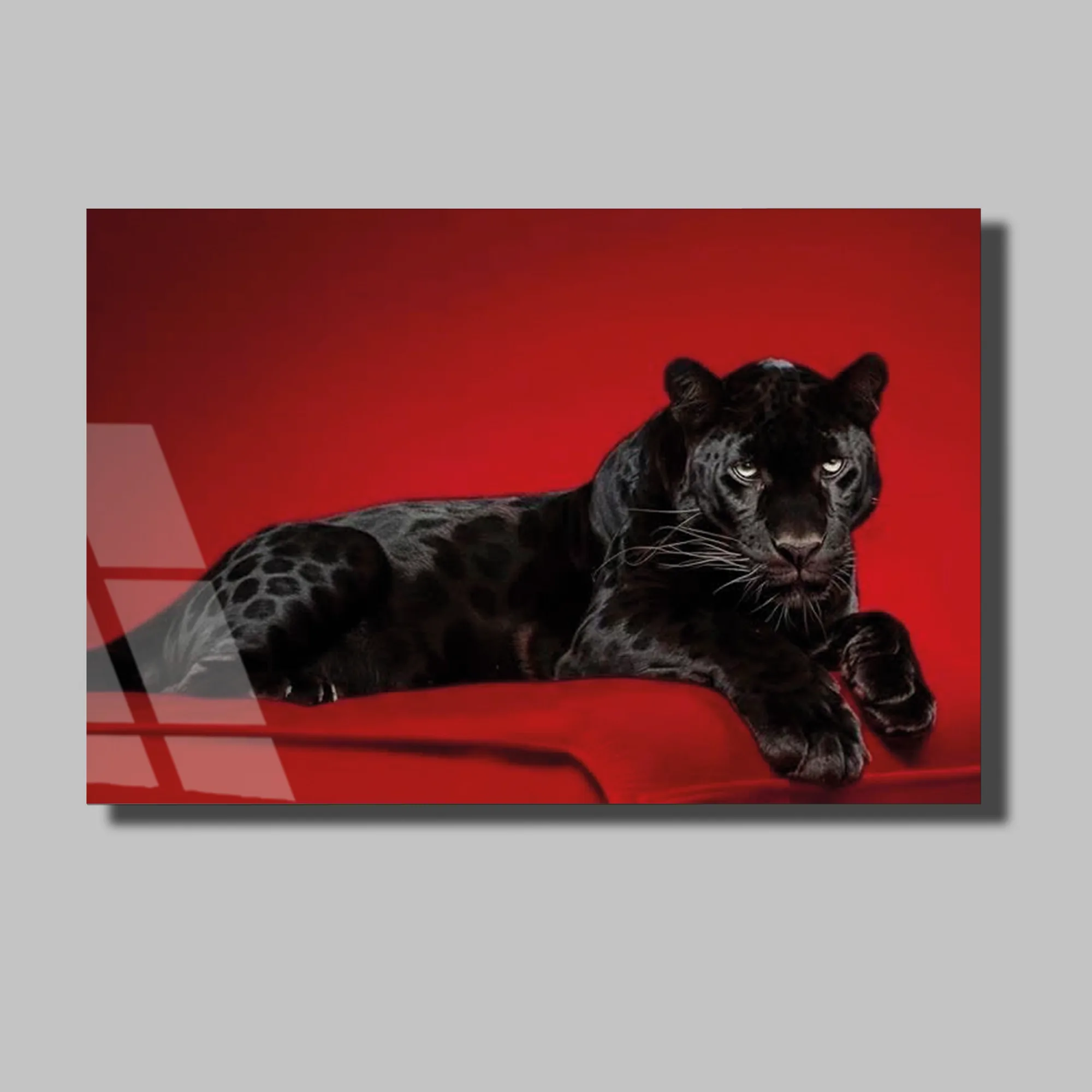 Kırmızı Zeminde Siyah Panter Cam Tablo