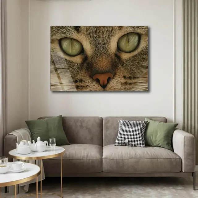 Yeşil Gözlü Kedi Yakın Portre Cam Tablo