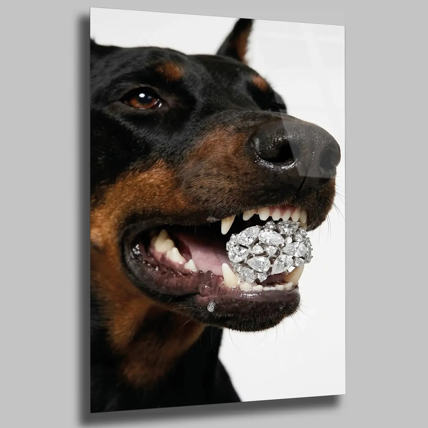 Elmas Toplu Doberman Tablo