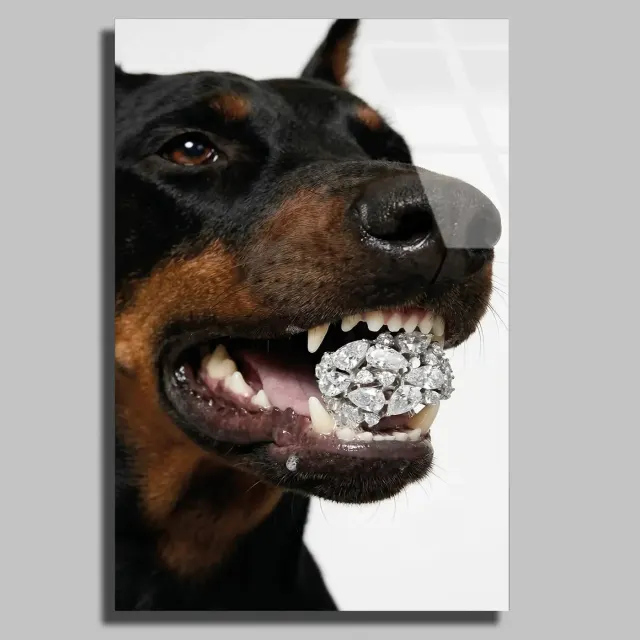 Elmas Toplu Doberman Tablo