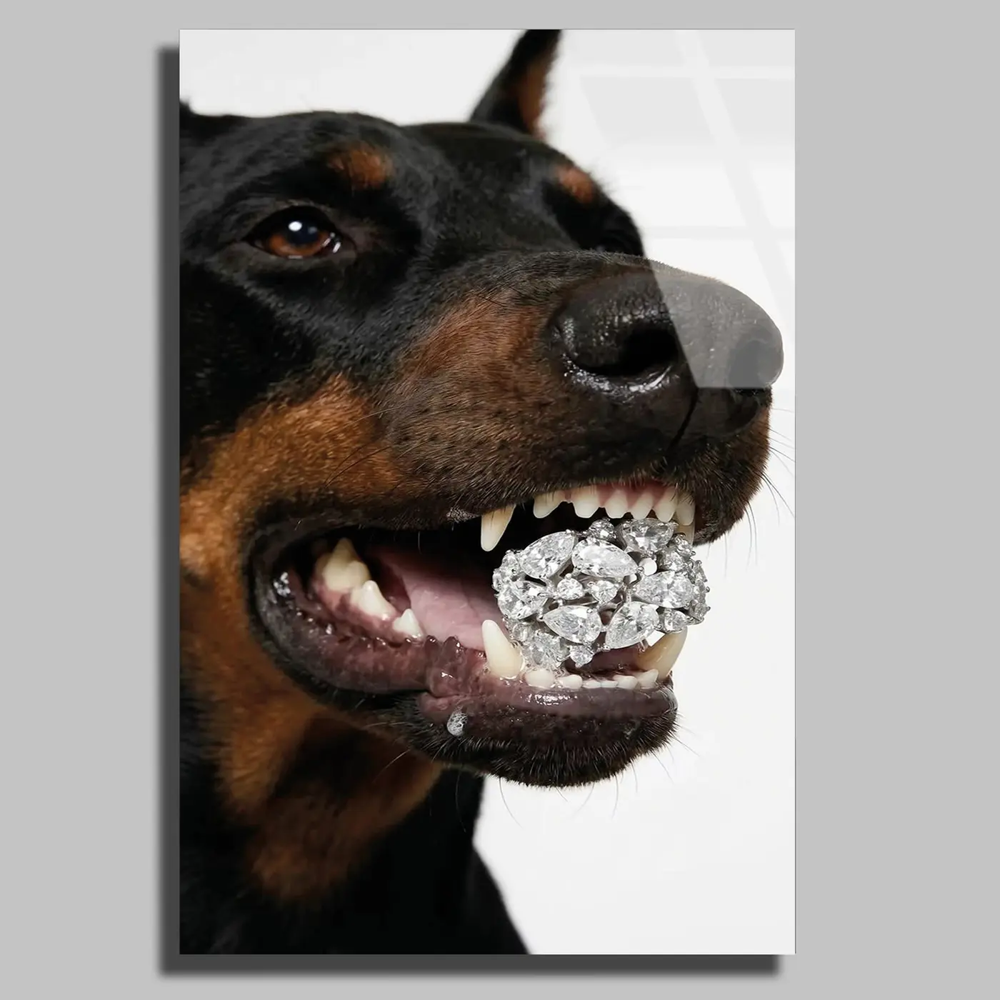 Elmas Toplu Doberman Tablo